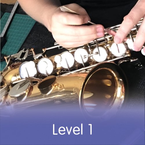 Saxophone Repair Course Level 1