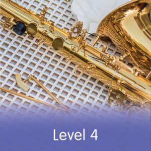 Saxophone Repair Course Level 4